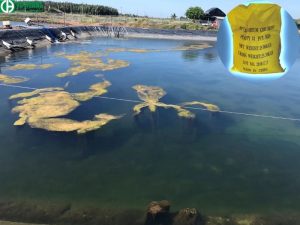 Ứng dụng PAC trong nuôi trồng thủy sản