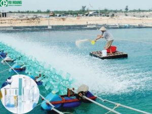 Công dụng của Clo trong ngành thủy sản