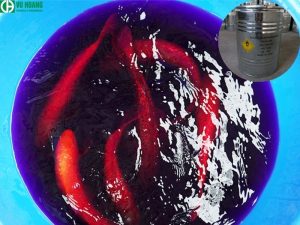 Thuốc tím KMnO4 trị bệnh cho cá cảnh