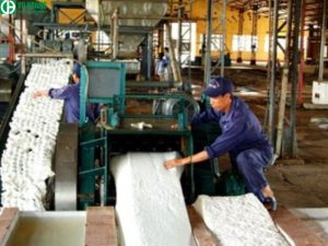Ứng dụng trong sản xuất cao su
