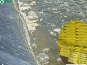 Ứng dụng xử lý nước thải