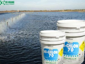 Clo xử lý nước ao nuôi tôm