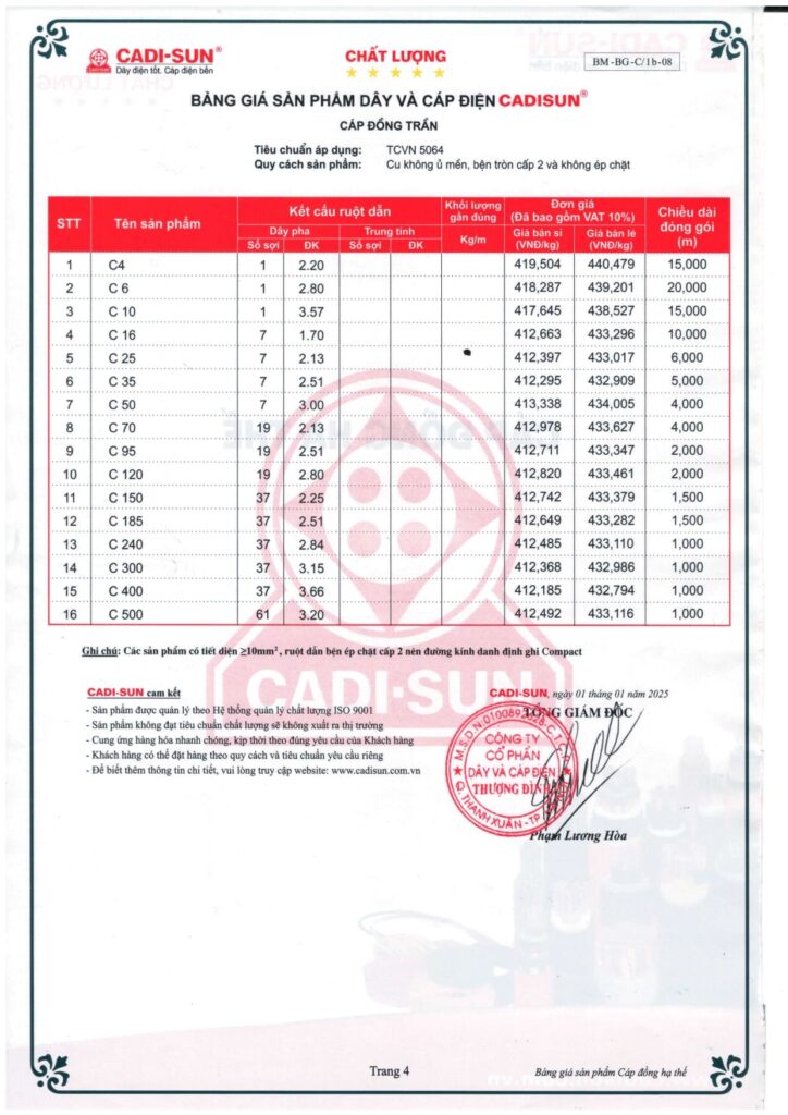 state-day-cap-dien-cadisun-2025
