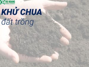 Canxi hydroxit được sử dụng để khử axit cho đất.