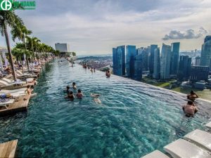 Javen giúp tiêu diệt vi khuẩn trong bể bơi