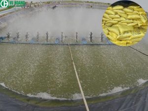 Ứng dụng PAC trong nuôi trồng thủy sản