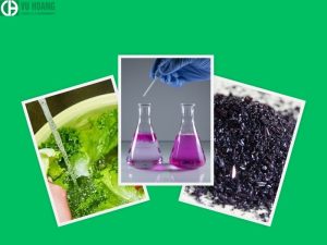 Sử dụng thuốc tím đúng cách để an toàn cho sức khỏe