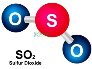 H2SO4 đậm đặc có khả năng oxy hóa kim loại và phi kim tạo thành khí SO2