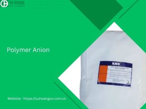 Hóa chất polyme anion