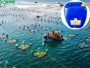 Using Javen in Aquaculture