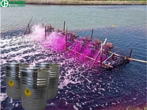 Tác dụng khử trùng nước của KMnO4