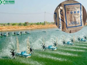 Anion Polymer A110 dùng xử lý nước trong nuôi trồng thủy sản