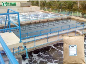 Polymer anion được sử dụng phổ biến hiện nay trong xử lý nước thải