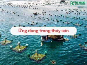 Bột đá dùng trong hải sản