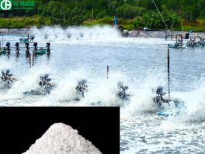 Bột đá CaCO3 dùng trong hải sản