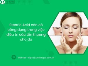 Công dụng của Stearic Acid trong điều trị tổn thương da