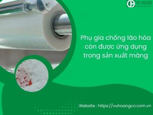 Phụ gia chống lão hóa