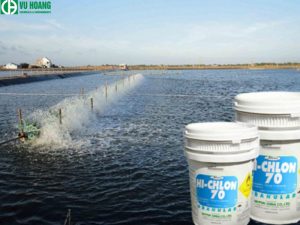 Clo 70% dùng để khử trùng ao nuôi trồng thủy sản