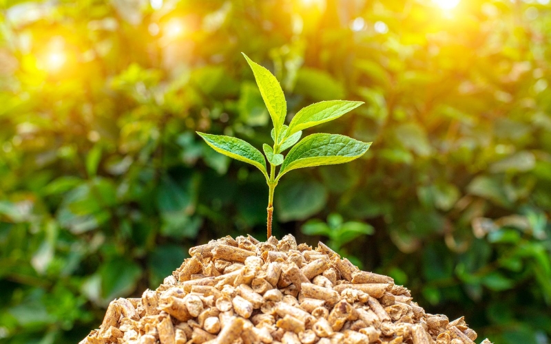 năng lượng sinh khối hay còn gọi là năng lượng sinh khối