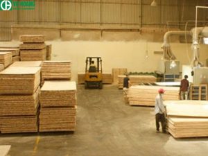 Formalin được sử dụng trong ngành gỗ ép