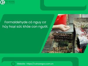 Formaldehyd có khả năng gây hại cho sức khỏe con người.