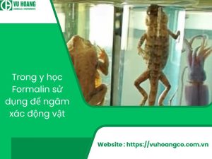 Formalin dùng để ngâm xác động vật trong y học