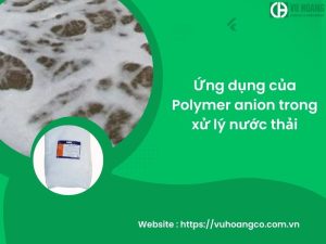 Application of anionic polymers in wastewater treatment