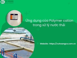 Application of cationic polymers in wastewater treatment