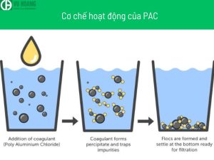 Cơ chế hoạt động của PAC