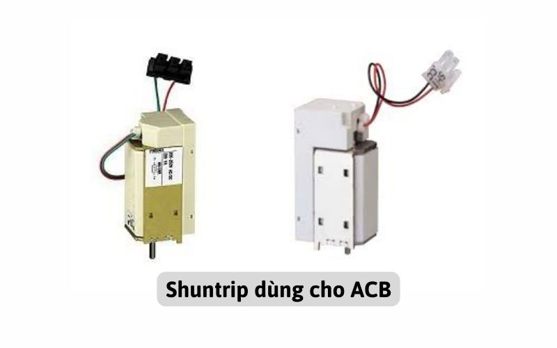 Shuntrip cho ACB