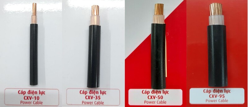 Cách phân chia các loại diode cxv