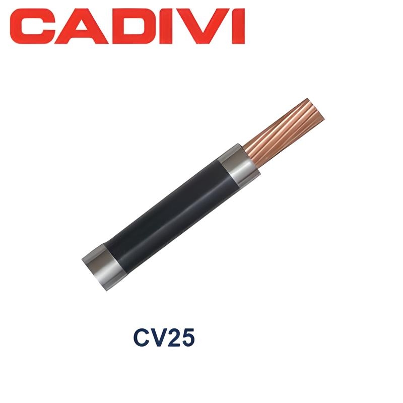 cấp điện CV cadivi
