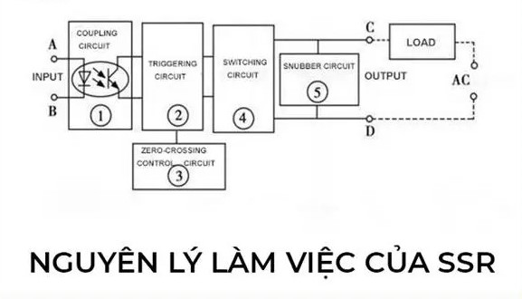 SSR hoạt động như thế nào