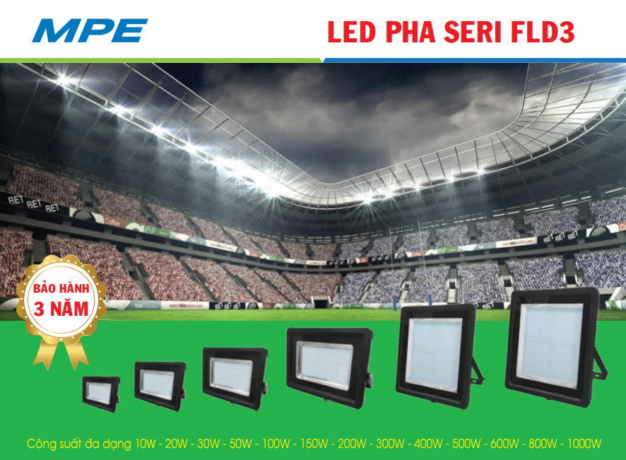 Giai đoạn chiếm ưu thế MPE