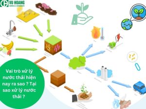 Vai trò chung của xử lý nước thải đối với môi trường và sức khỏe hiện nay