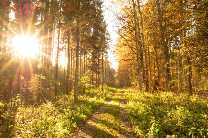 Công dụng của năng lượng mặt trời là gì?