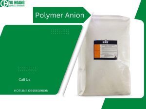 Hóa học polyme anion