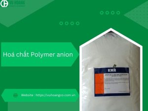 Polyme anion