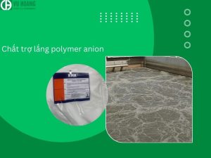 Anion Polymer trong ứng dụng xử lý nước thải