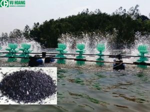 Thuốc tím kali dùng trong nuôi tôm