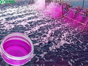 Thuốc tím kali dùng trong nuôi trồng thủy sản