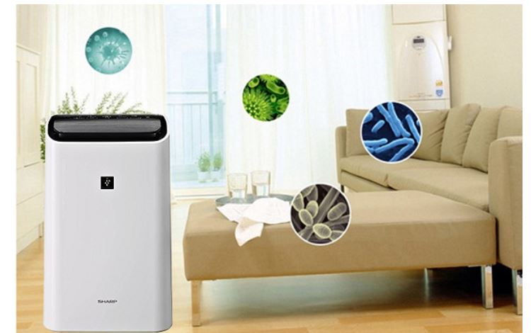 Khả năng lọc bụi từ không khí