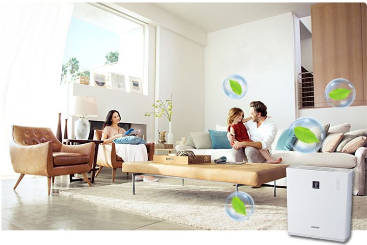 Máy lọc không khí trong phòng riêng