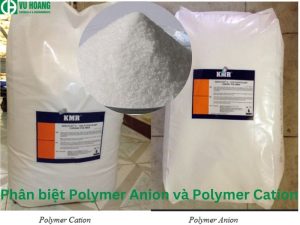 Cách phân biệt polyme anion và polyme cation
