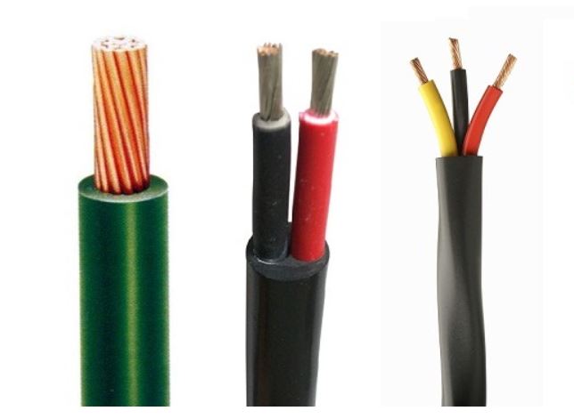 Phân loại theo số lượng ruột