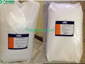 Polyme anion