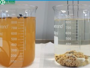 Chất keo tụ giúp các hạt trầm tích liên kết với nhau tạo thành các khối lớn