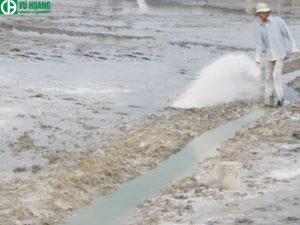 Ca(OH)2 được sử dụng trong nông nghiệp