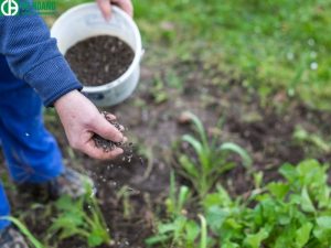 Sử dụng axit H2SO4 để sản xuất phân bón