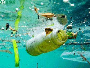 Các tạp chất trong nước ảnh hưởng đến quá trình đông tụ